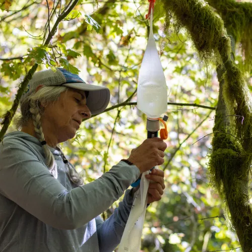 3L Vecto Water Container by CNOC Outdoors