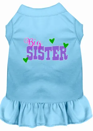 Big Sister Screen Print Dog Dress Baby Blue Xs