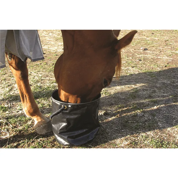 Cashel Collapsible Water Pail