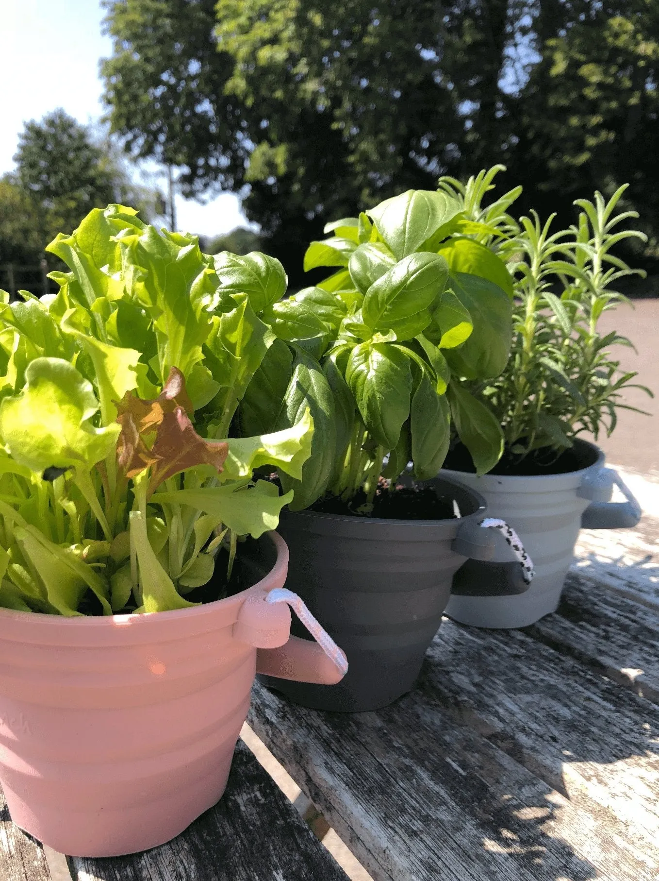 Scrunch Seedling Pot and Trowel Various Colours