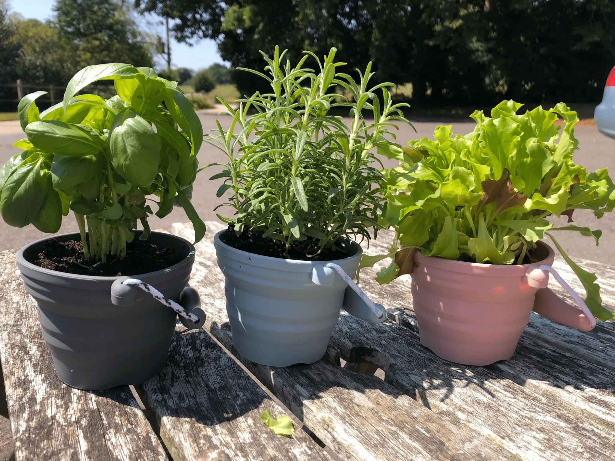 Scrunch Seedling Pot and Trowel Various Colours