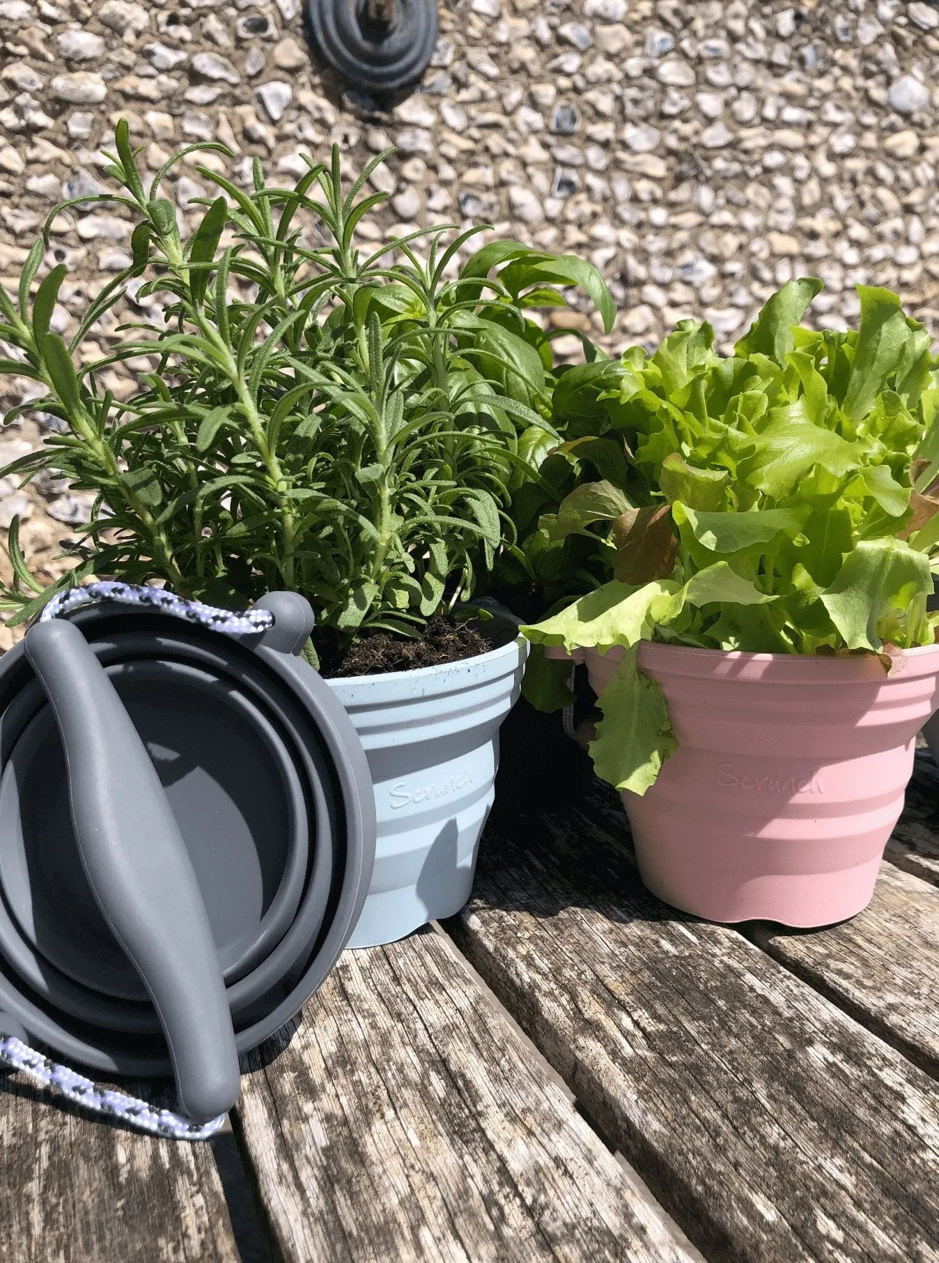 Scrunch Seedling Pot and Trowel Various Colours